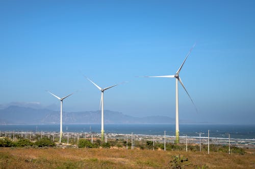 Três grandes aerogeradores em um campo com um céu azul claro ao fundo.